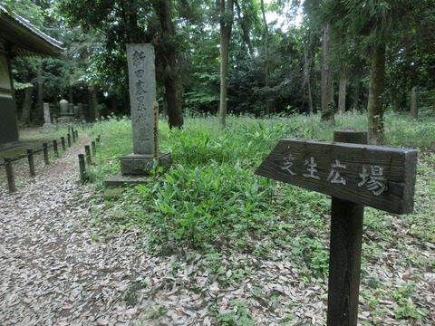 CIMG3267