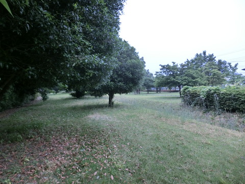 CIMG3283