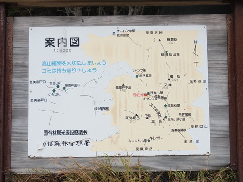 P9183412