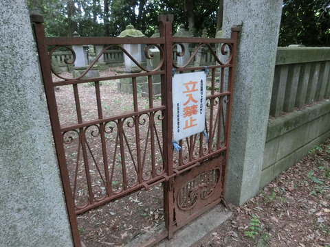 CIMG3275