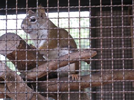 天王寺動物園 5