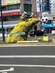写真 (4)
