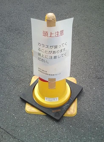 頭上注意