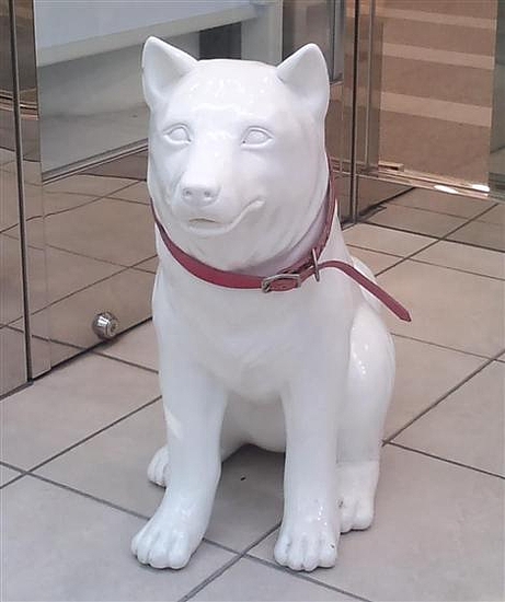 犬