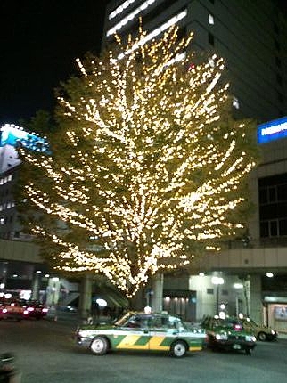 三鷹のツリー