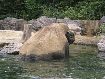 天王寺動物園 2