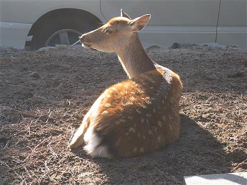 NARA3
