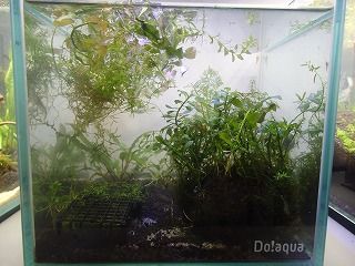 P8304539