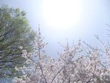 DSCF3886_R