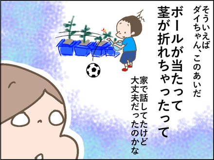 20180611ミニトマト2