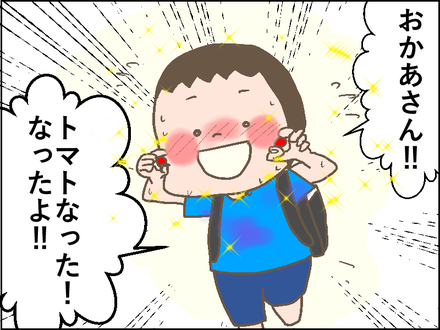 トマトなった