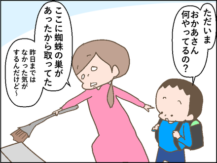 20181018蜘蛛の巣1