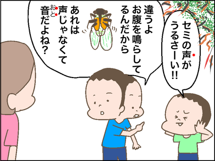 セミ1