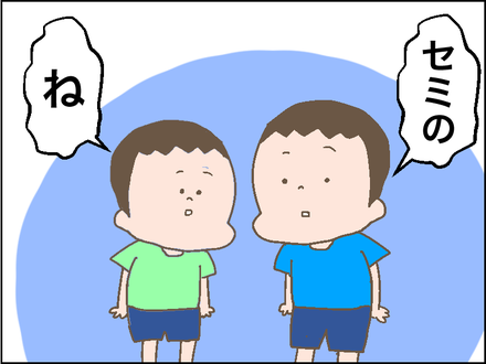 セミ3
