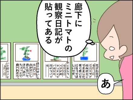 20180611ミニトマト1