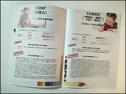 DNA04