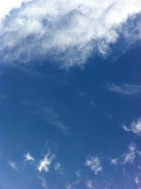 IMG_1079