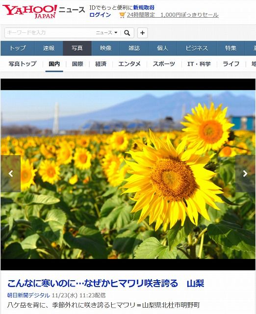 が 落ち コード 花 た ので