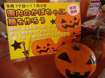 かぼちゃ シール ハロウィンかぼちゃ ハイジの村blog