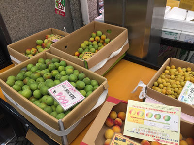 明石 魚の棚商店街 南高梅