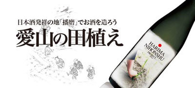 播磨日本酒プロジェクト 愛山の田植え
