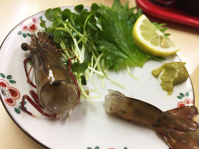 明石 立呑み 呑べえ あしあか海老 造り