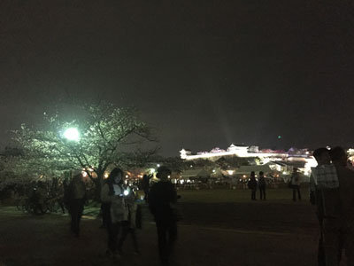 姫路 お花見 2017 夜桜会