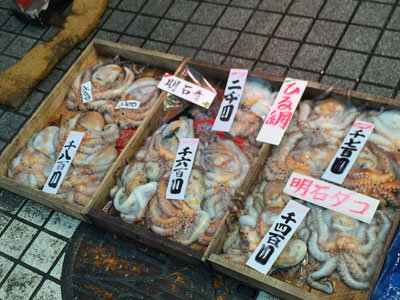明石 魚の棚商店街 タコ