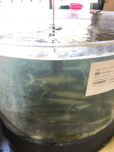 姫路 とれとれ市場 ぼうぜ鯖