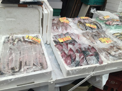 明石 魚の棚商店街 魚