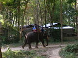 zoo4