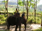 zoo3