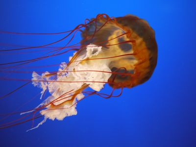 P1020281