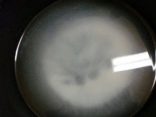 CIMG0071