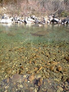 キャンプ場の川原