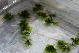 s-IMG_1888