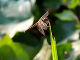 s-538920786_145