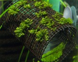 s-IMG_1882