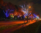 s-IMG_1876