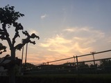 7-30-2