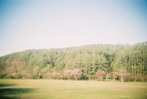 89447f14.jpg