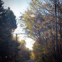IMG_4571