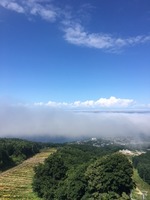 IMG_6861