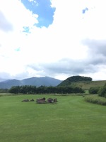 IMG_3955