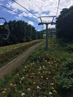 IMG_6860