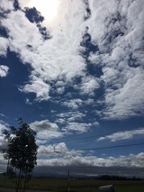 IMG_3602
