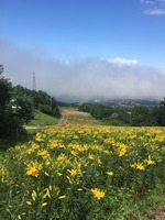IMG_6869