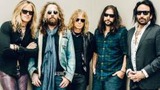 deaddaisies