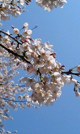 f059dea1.jpg