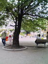 3e407101.jpg